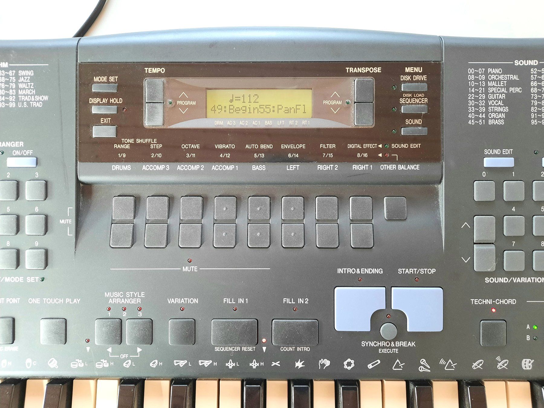 Technics Strumenti musicali: Technics SX-KN901 Keyboard – Usato da Stettlen venduto da wewe54 4