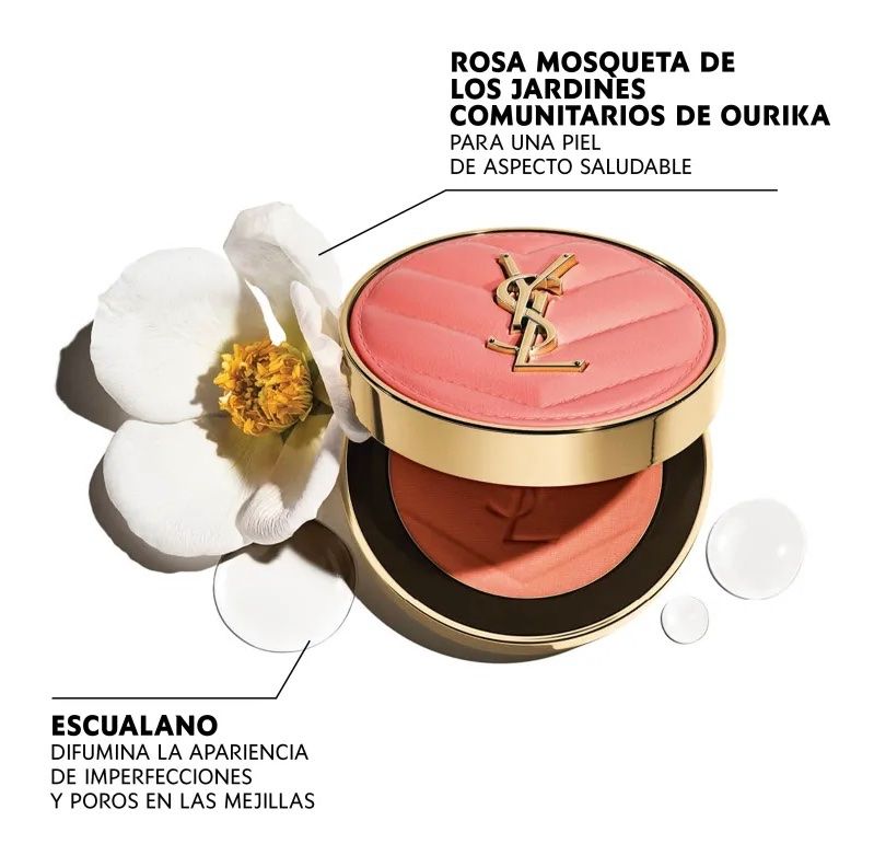 Dior Make-up: YSL Yves Saint Laurent Blush NP. 69.- – Nuovo (secondo la descrizione) da Rüfenacht BE venduto da Milena_1 4