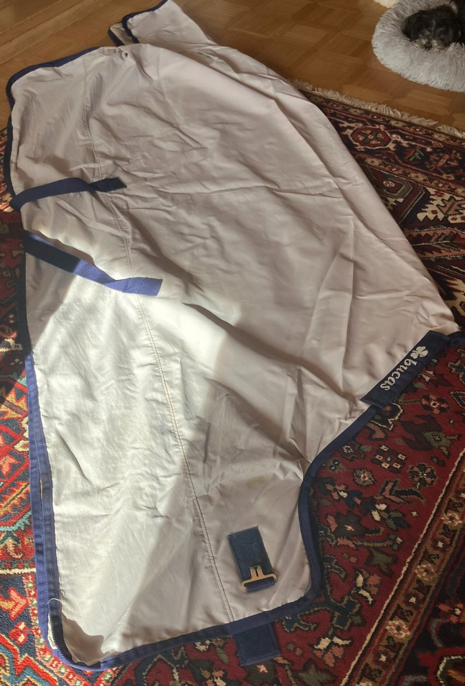 Coperte & Accessori: Bucas Weidedecke Sun Shower 145cm Warmblut – Usato da kottwil venduto da opononi 1
