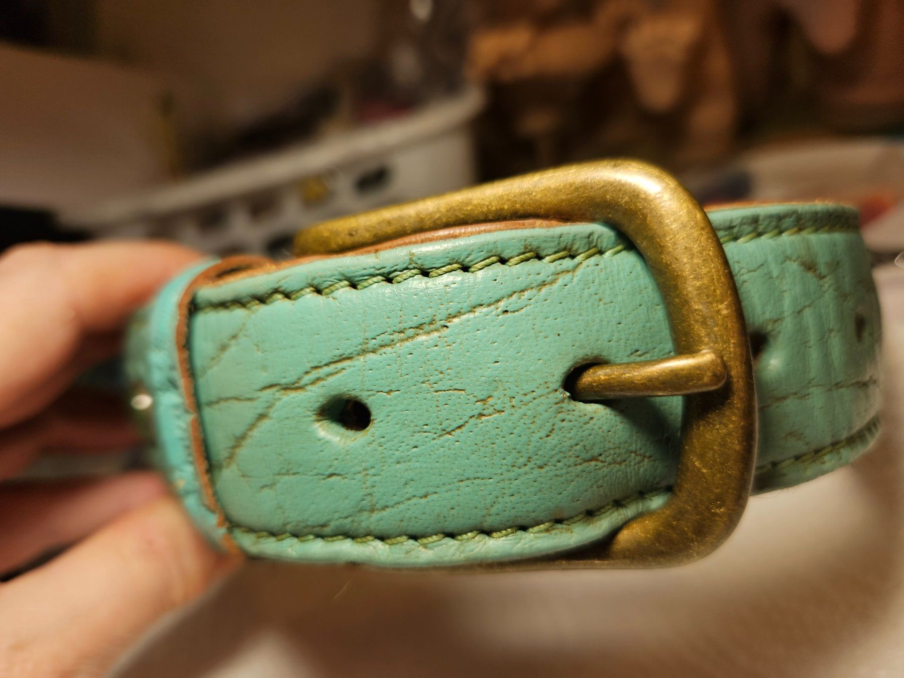 Guinzagli & Collari: Hundehalsband Leder – Usato da Beringen venduto da Sternschnappi 3