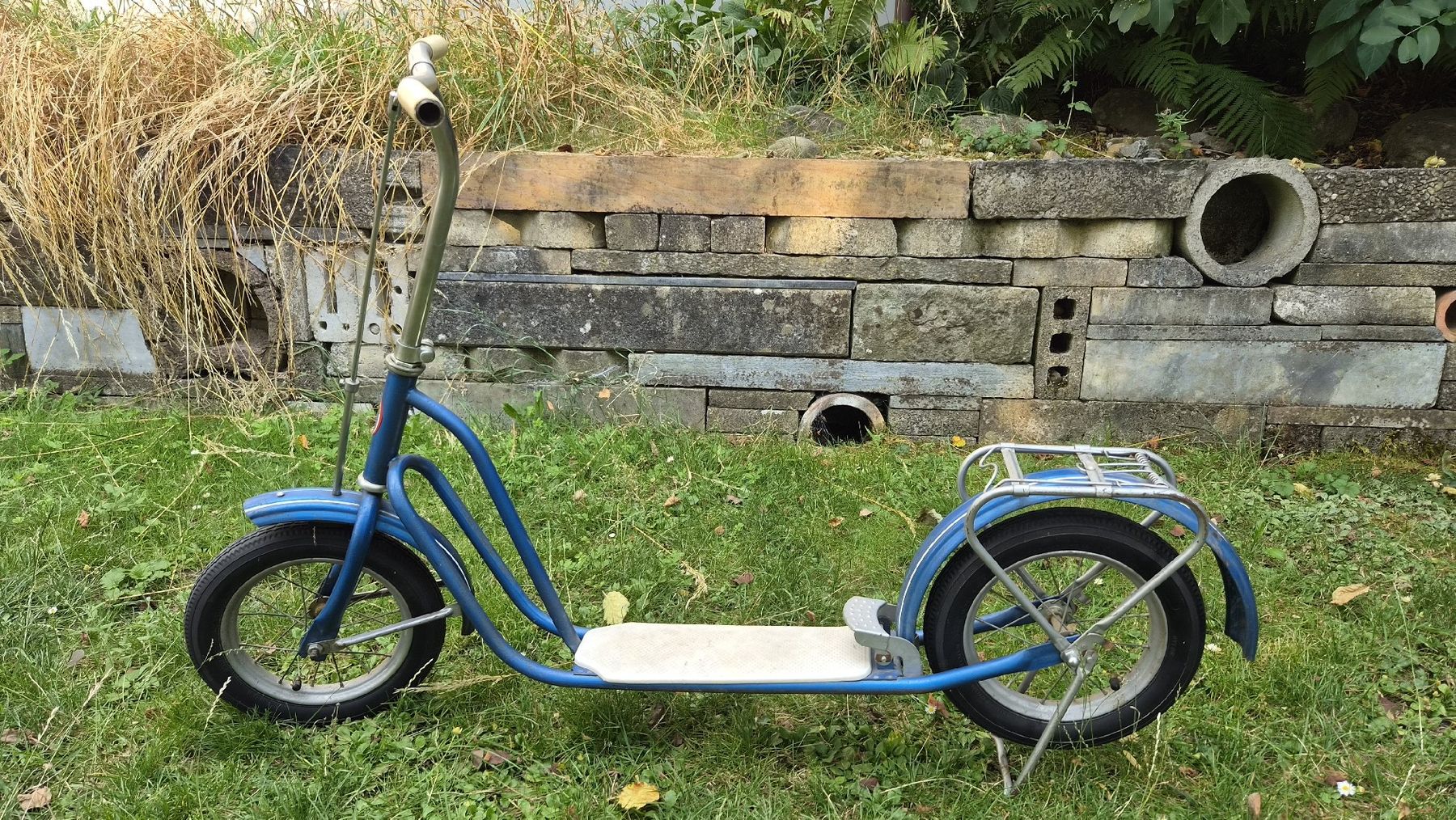 Kickboard: Trotti Alt Champion – Gebraucht aus Sirnach von Marphil