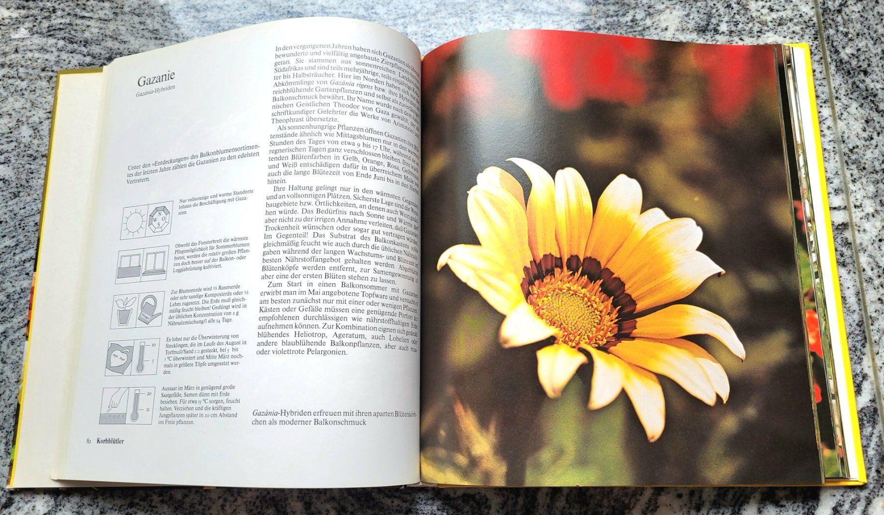 Libri: Unsere Balkonpflanzen – Usato da Oberuzwil venduto da rtr_wp6m 2