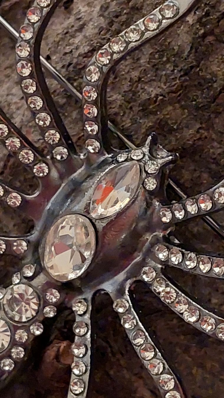 Broches & Aiguilles: Grosse Brosche Spinne Strass silberfarben – Neuf (Voir description) à Oberwil BL par Hunajakakku 3