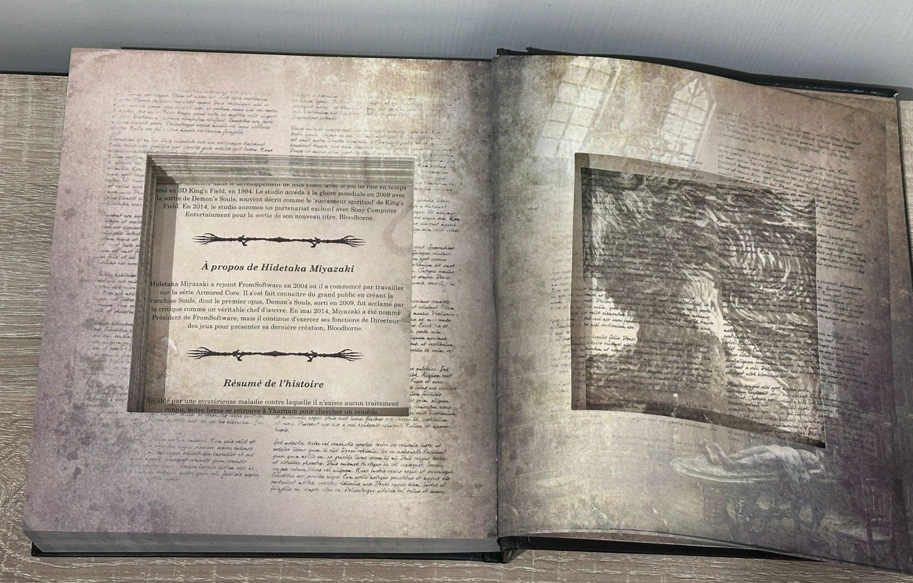 Sony Spiele: Bloodborne Press Kit + Game (PS4/5) - extrem selten – Neu (gemäss Beschreibung) aus winterthur von Ricardorounen 2
