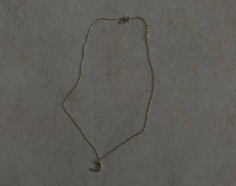 Catenine: Silberkette mit Mondanhänger 925 Silber – Usato da Bern venduto da Bluepop 1