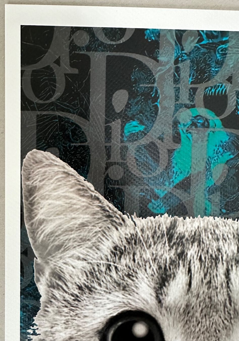 Foto & Immagini: Death: Bubble Dior Cat, signiert 31/100 – Nuovo (secondo la descrizione) da Meilen venduto da Smgdesign 3
