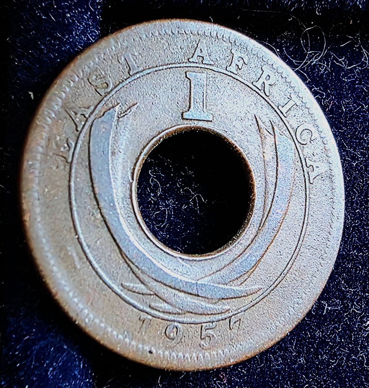 Tutti le monete: EAST AFRICA 1 CENT 1957 – Usato da winterthur venduto da CoinPassion 1