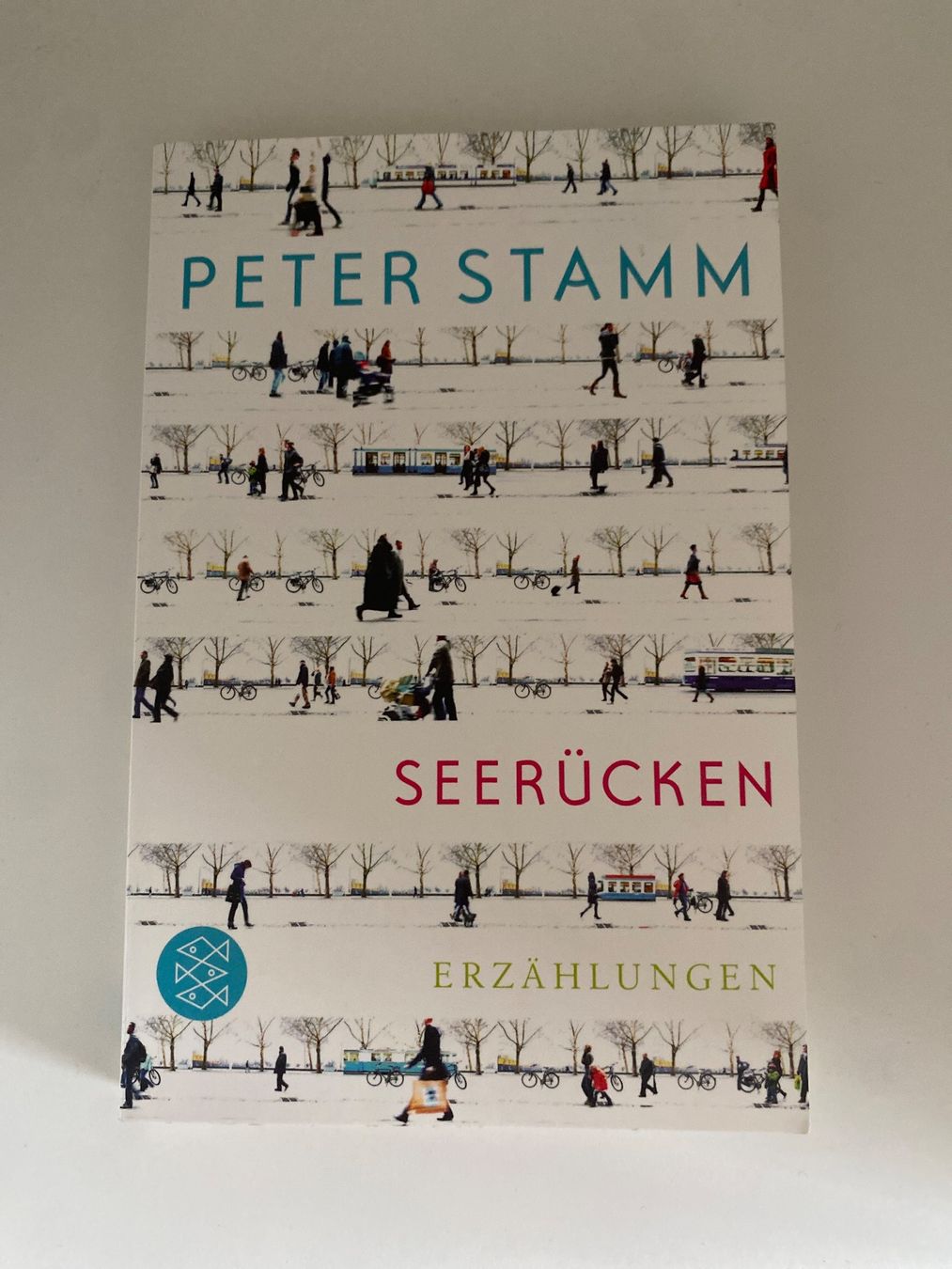 Libri: Seerücken - Peter Stamm – Usato da Zürich venduto da ann_6wfr