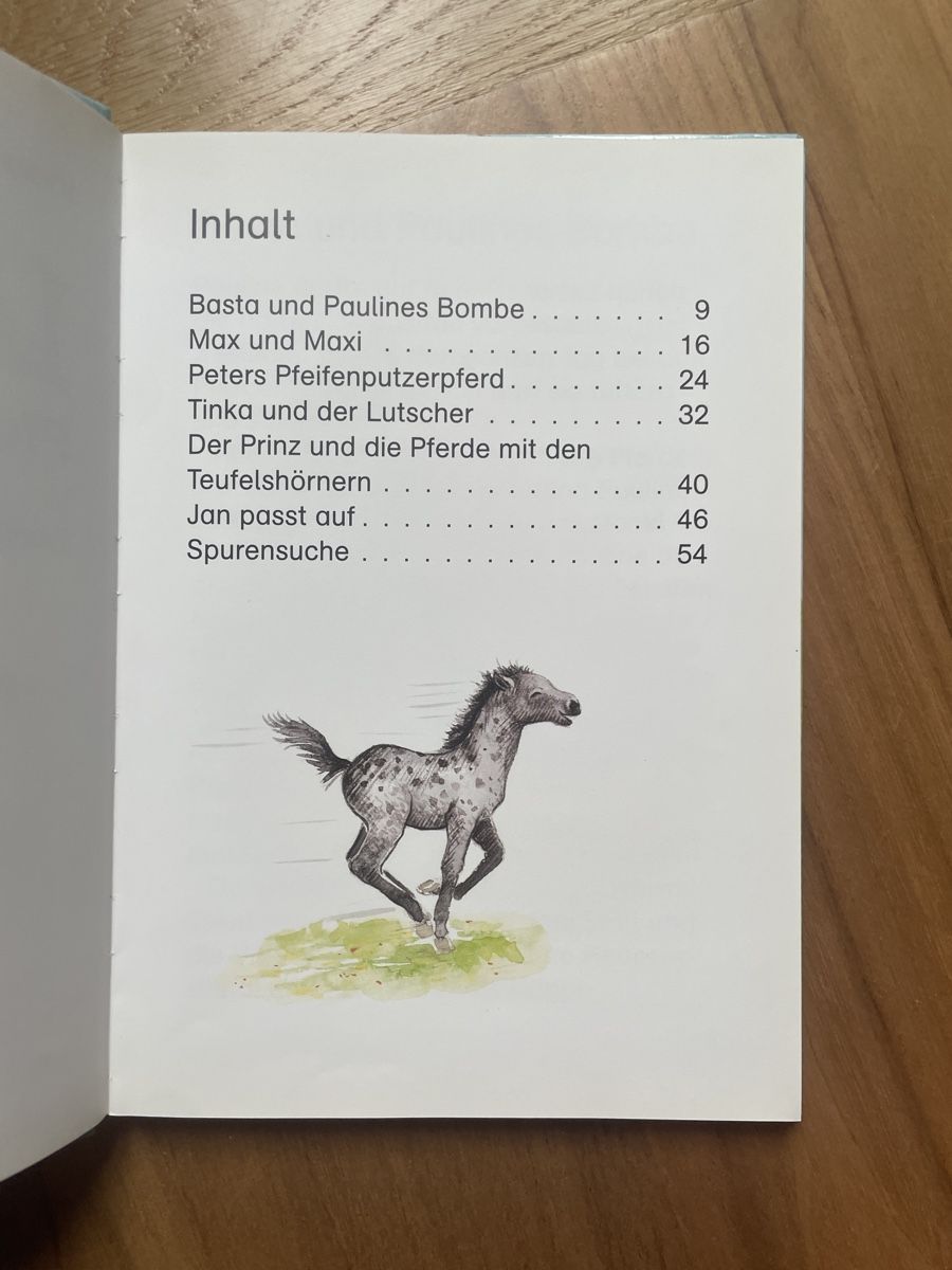 Bücher: Leselöwen Pferdegeschichten – Gebraucht aus Fribourg von Mymikrakra01 2
