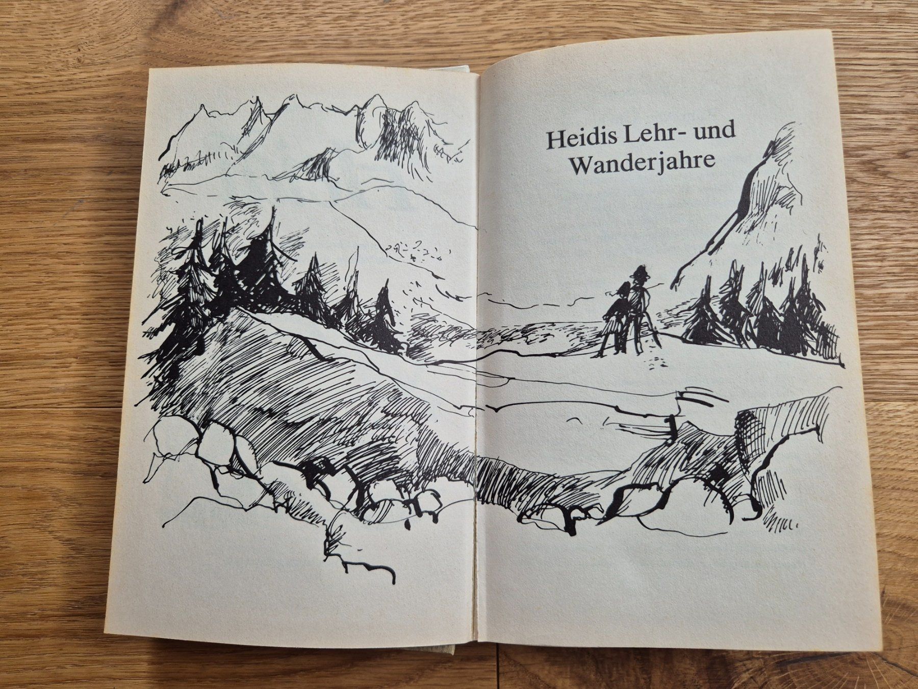 Libri: Lesebuch (Heidi) – Usato da Gams venduto da tischi97 2