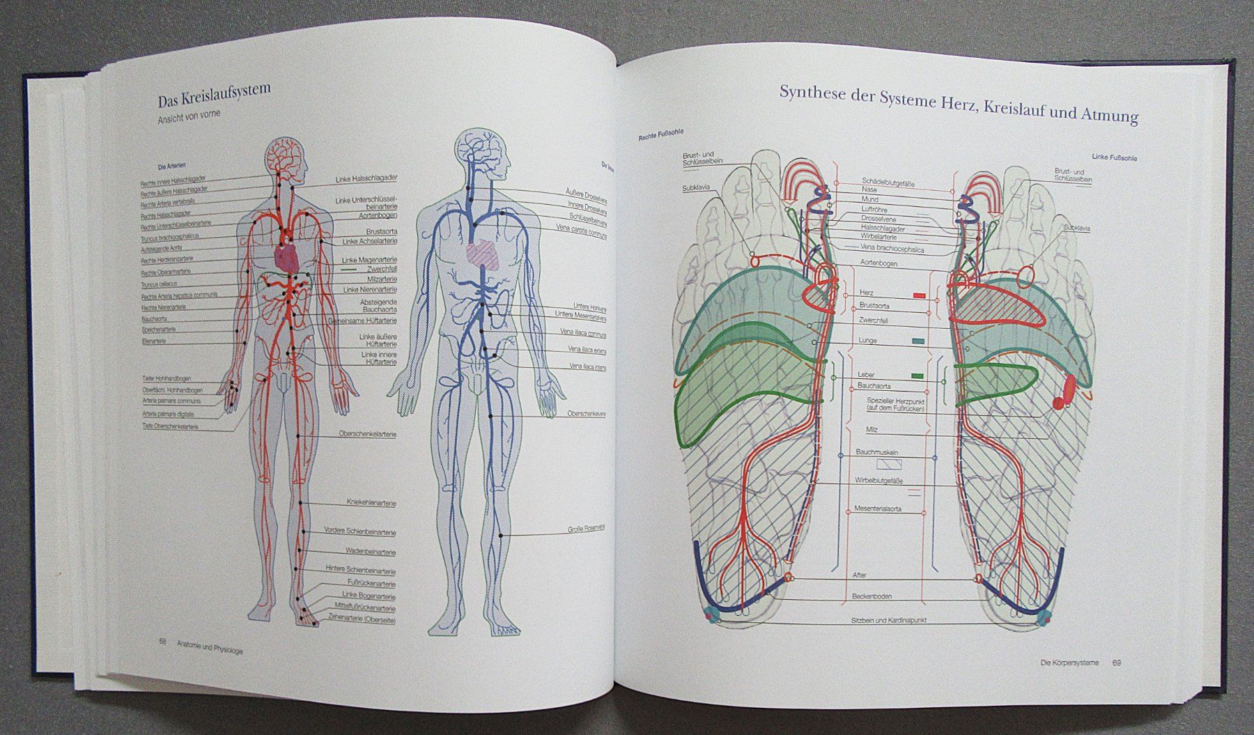 Bücher: Reflexzonentherapie total - von Martine Faure-Anderson – Gebraucht aus Auenstein von Padabimbim 6