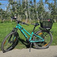 Kindervelo - Bulls Tokee Street 24 Zoll