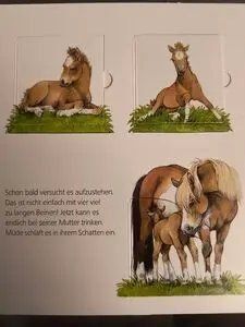 Libri: Kinderbuch Das Pony Pop-Up – Usato da Oberweningen venduto da Bumblebee2 1