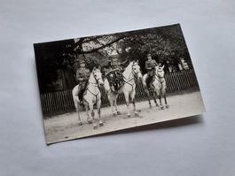MILITAER - BAERNER TROMMLER TRIO auf SCHIMMELN