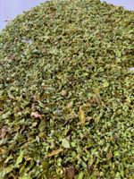 Origan frais séchée au soleil - oregano fresh sundried