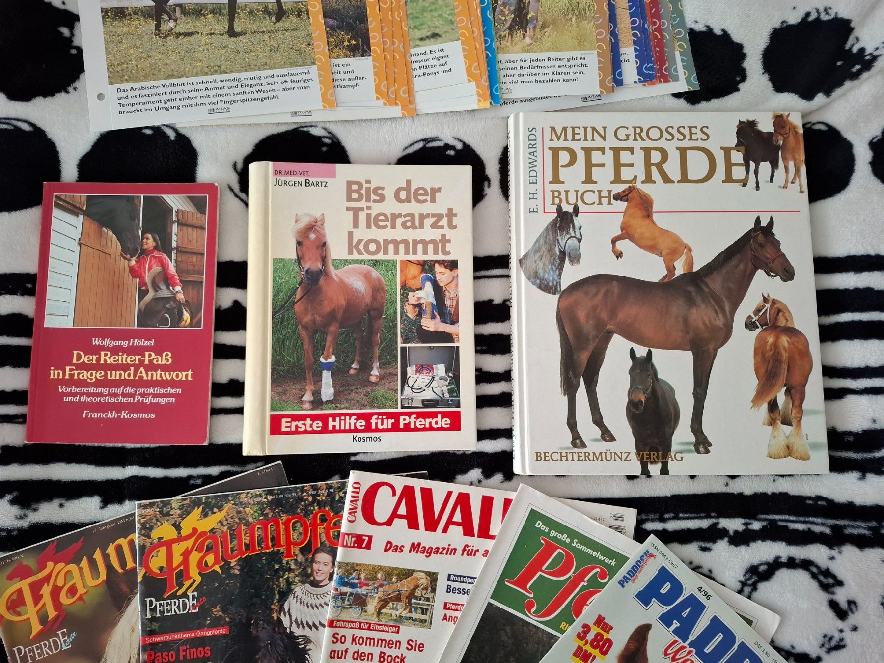 Libri: Pferdebücher und Zeitschriften – Usato da Oberurnen venduto da rotty80 2