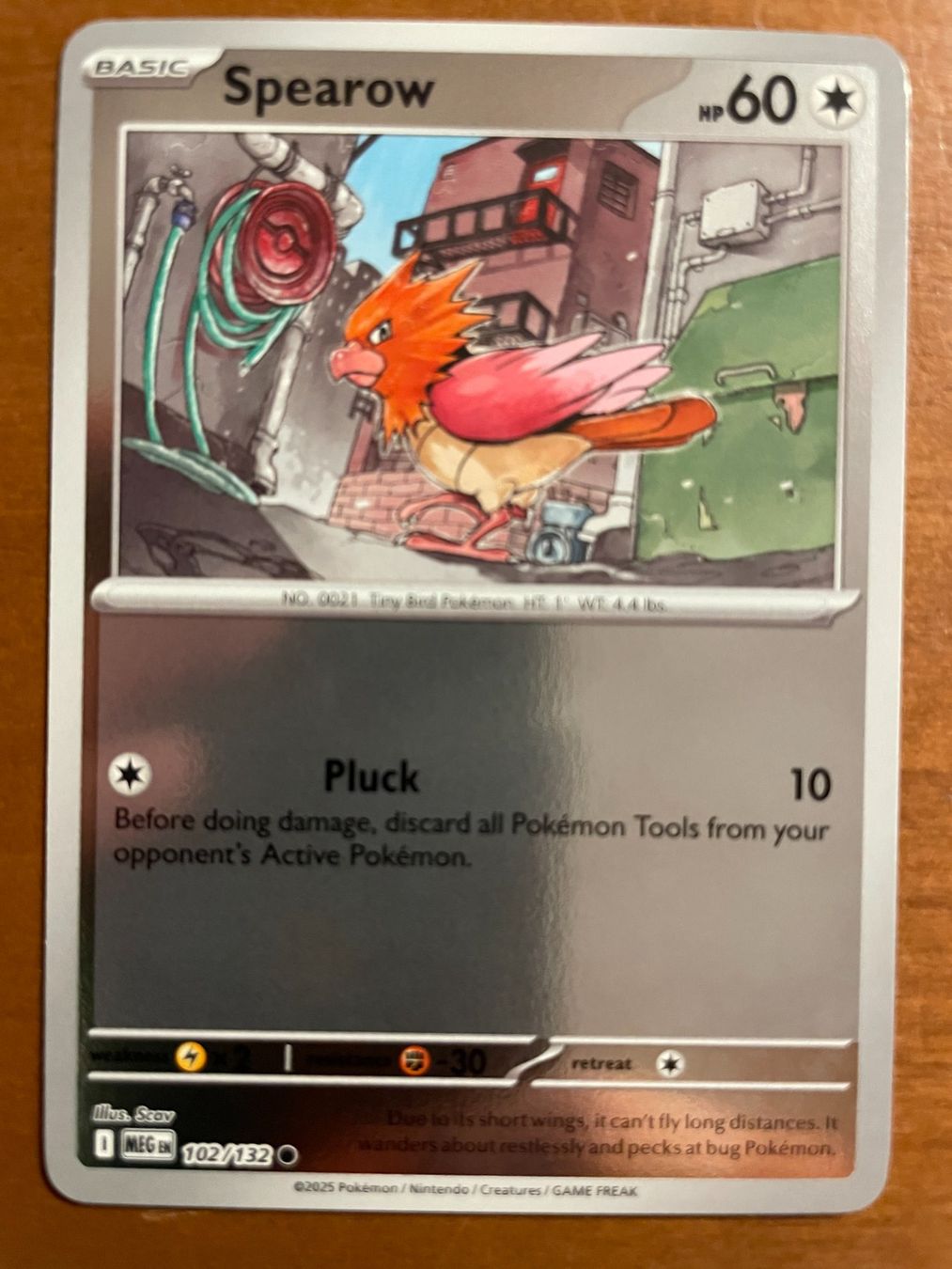 Pokémon Carte collezionabili: Pokemon Spearow Reverse (Versand gratis) – Nuovo (secondo la descrizione) da Chur venduto da Angerson