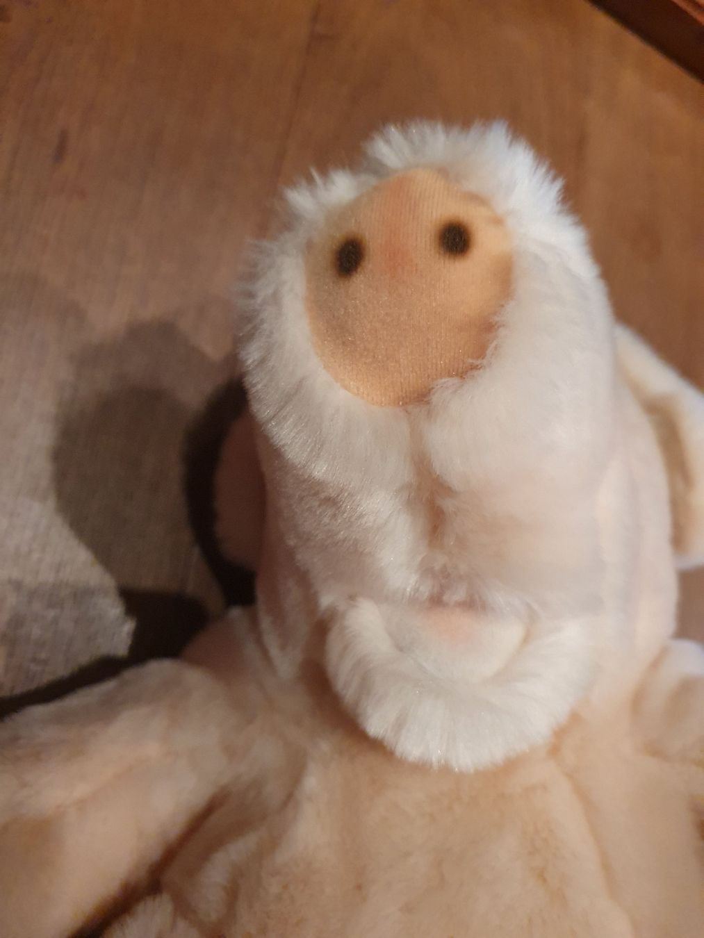 Steiff Giocattoli: Steiff Schwein Ferkel Cosy Suggy – Usato da Oftringen venduto da papillon075 9
