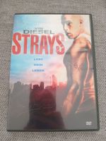 STRAYS - LEBE DEIN LEBEN