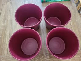 Neue Blumentöpfe