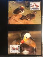 WWF Korea 1987 Mandarinente Satz Maximumkarten