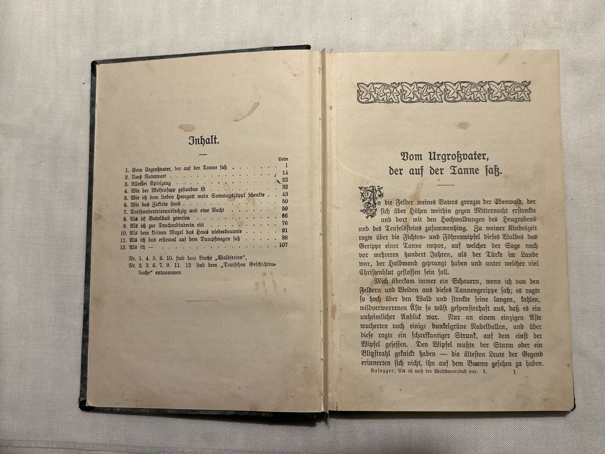 Libri: Antikes Buch "Als ich noch der Waldbaurnbub war" 1911 – Usato da Zürich venduto da Chaeffeler 3
