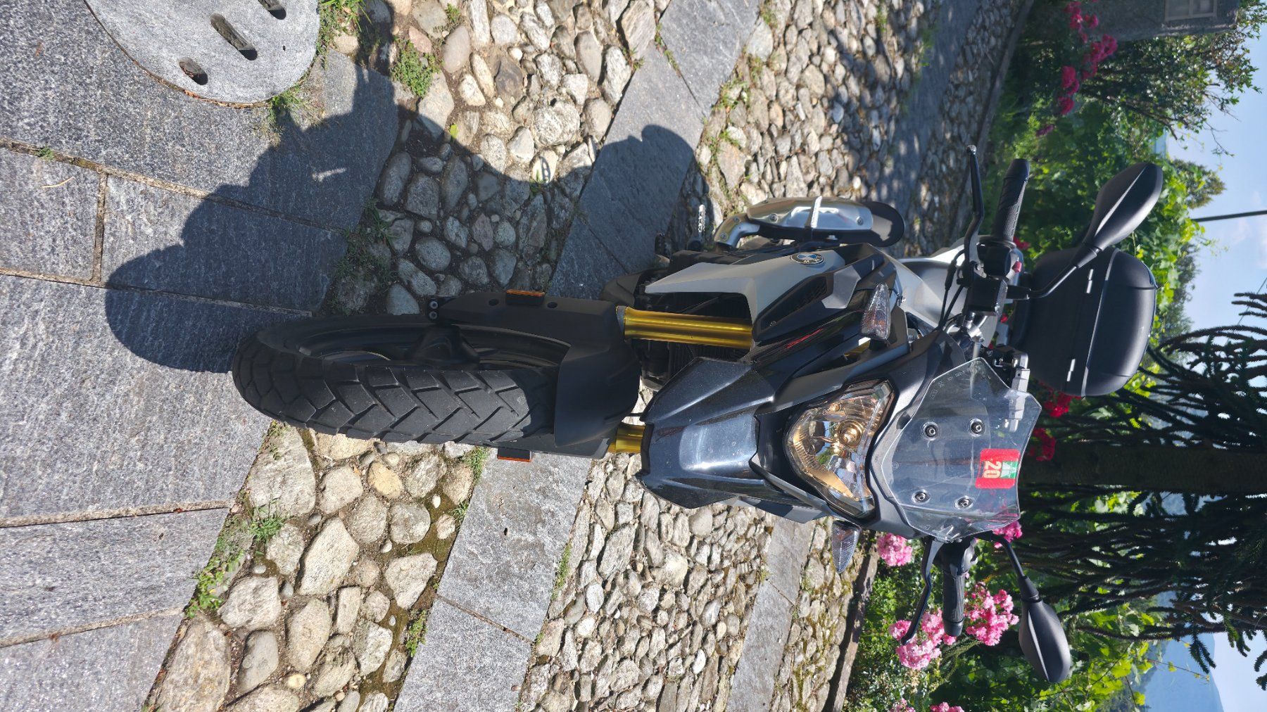 Enduro: BMW G 310 GS  100% WIR – Usato da Beckenried venduto da Maya58 3