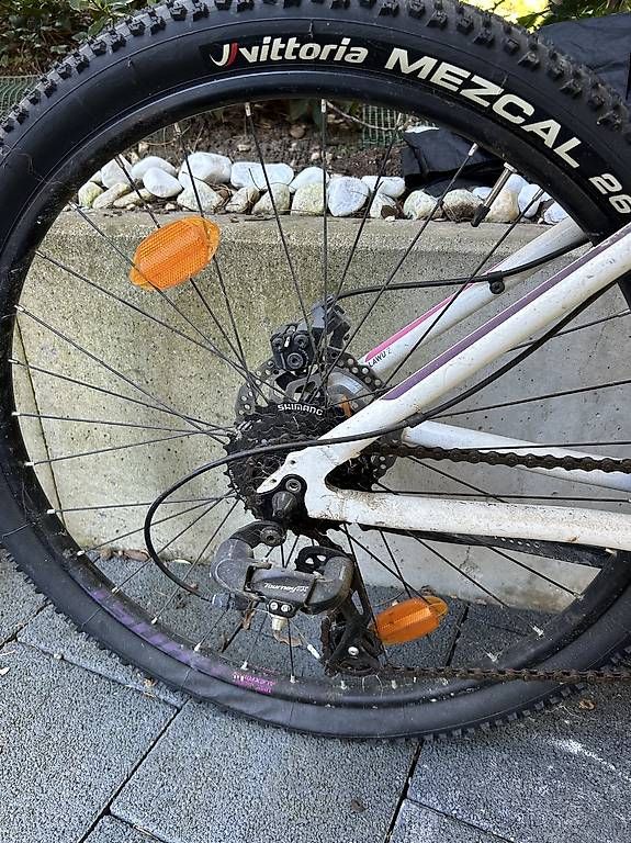 Velos: Velo 26 pouces  – Gebraucht aus La Neuveville von biz_mn8c 2