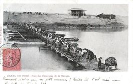Aegypten, Suez-Kanal, Kamel-Karawanen, 1903, Philatelie!