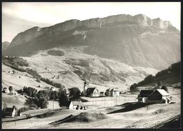 39 Appenzell, Widderalpstöck, Muttengle