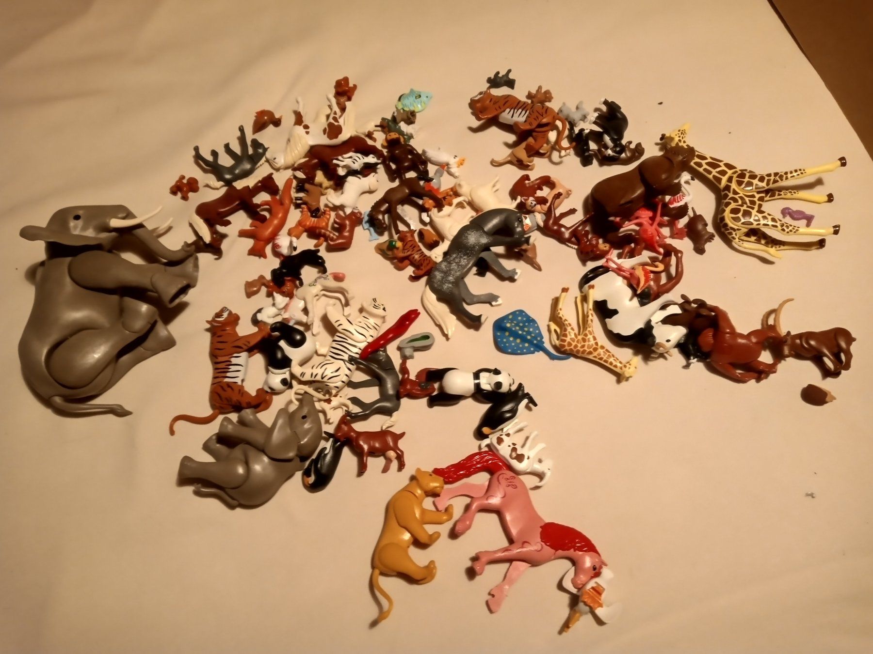 Playmobil Giocattoli: Playmobil Tiere – Usato da Prez-vers-Siviriez venduto da Monija70