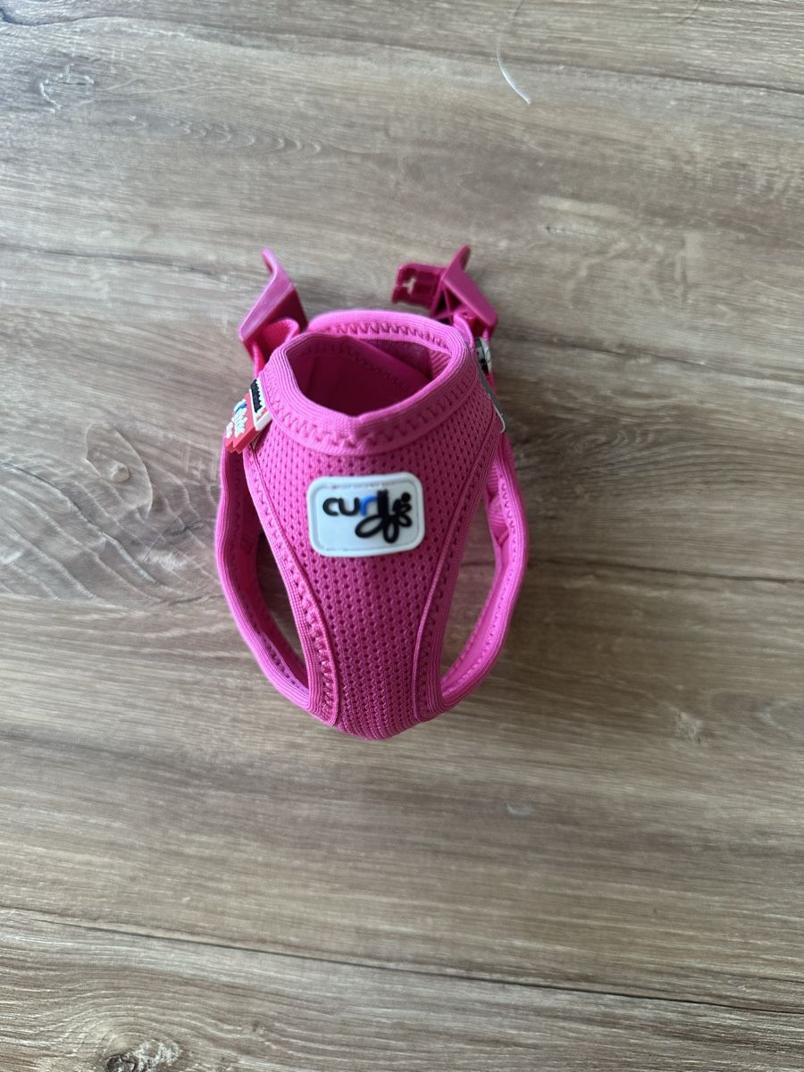 Collier et laisse: Hundegeschirr in 3xs – Neuf (Voir description) à Bülach par Nanuk123 1