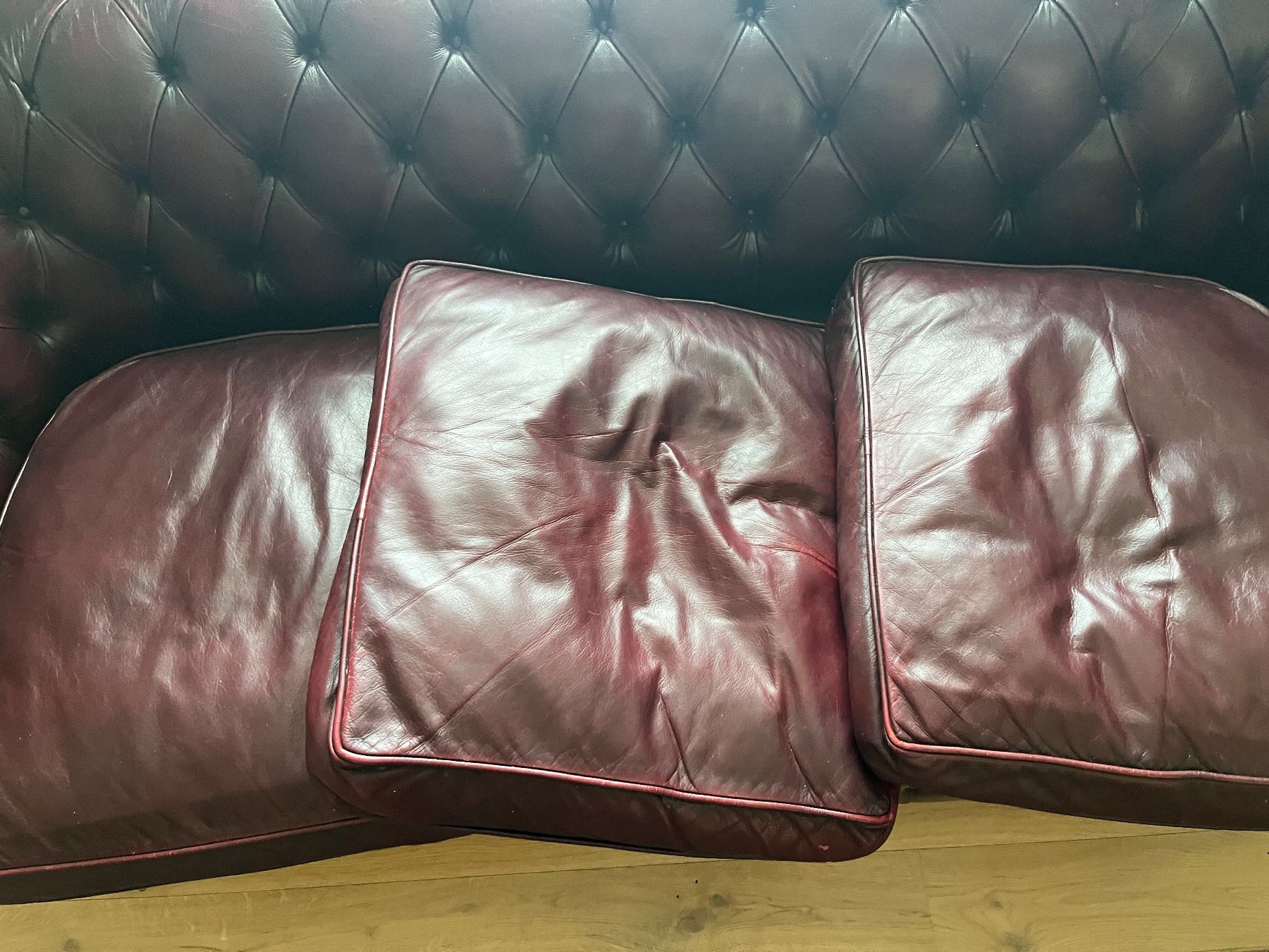 Divani: Chesterfield-Sofa / Ledersofa / Top-Zustand – Usato da Obfelden venduto da User500 4