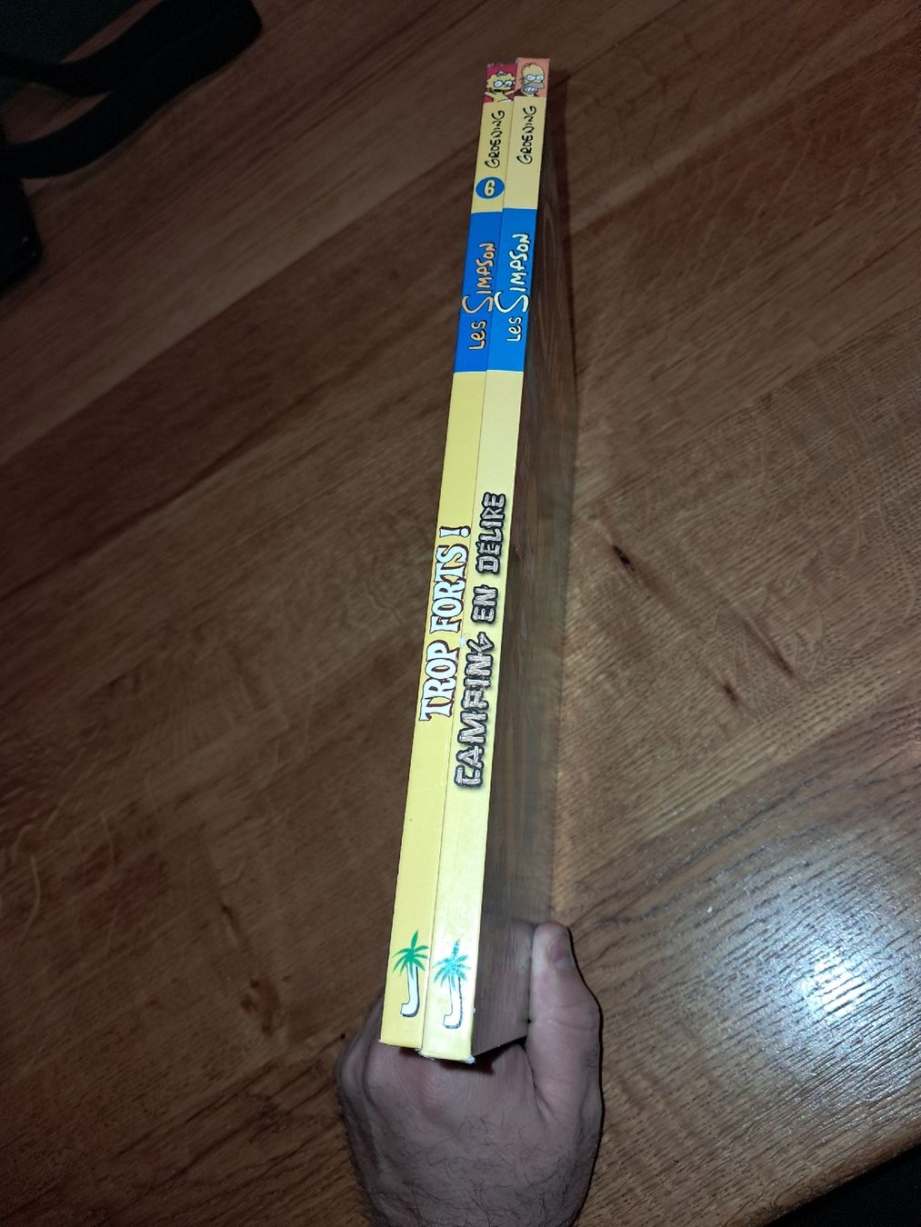 Fumetti: Lot de 2 bd les Simpson – Usato da Le locle venduto da juliensaran 1