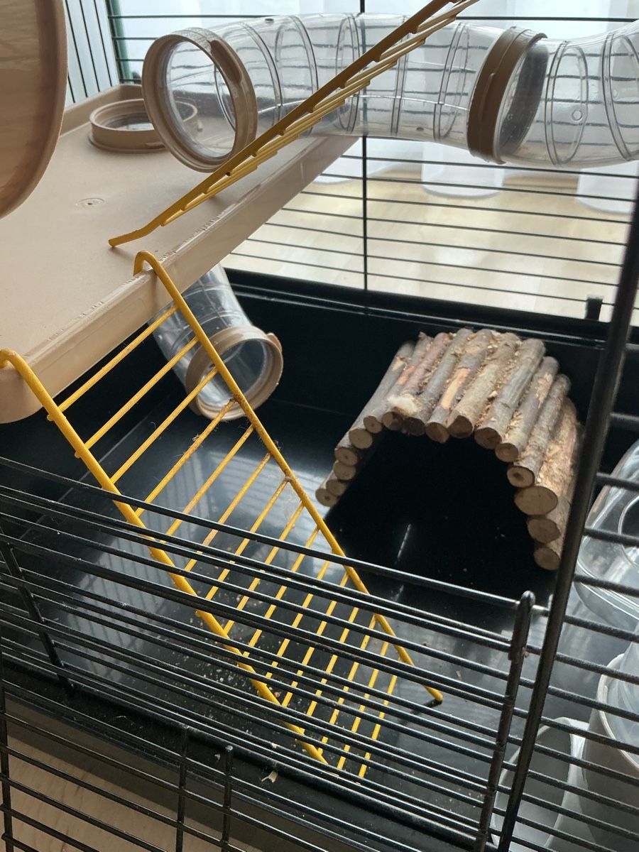 Terrariums: Hamster Käfig  – D'occasion à Allschwil par han_w8cx 6
