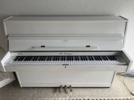 Klavier weiss (Th. Brugger)  gepflegt & spielbereit