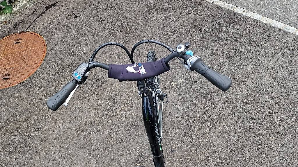 Biciclette: Velo/E-Bike Prophete – Usato da Blumenstein venduto da olka007 3