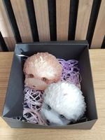 2 Hundekerzen