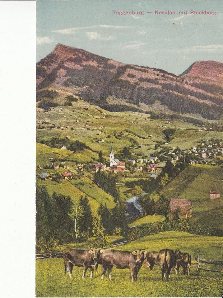Cartoline postali: Nesslau, um 1910 – Usato da Bürglen TG venduto da StampGraf