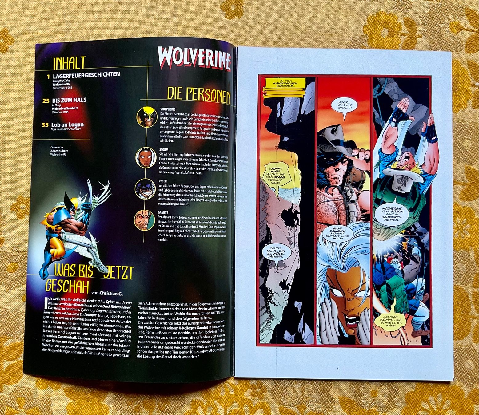 Fumetti: Wolverine Heft Nr 9 von 1998 – Usato da Endingen venduto da nathan05 1