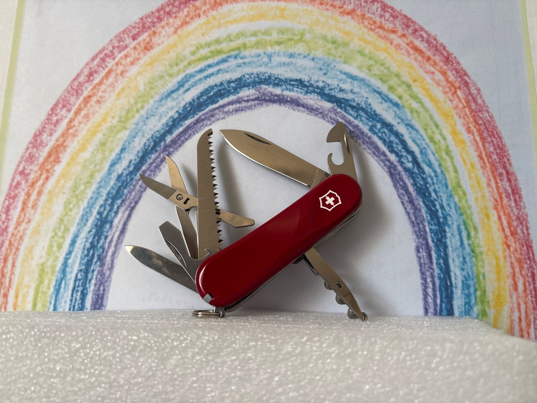 Victorinox Couteaux de poche: VICTORINOX - Evolution S17 - Sackmesser – D'occasion à Andwil SG par Rainboli 2