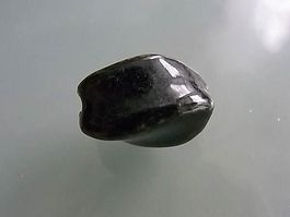 2 Porzellanperle gedreht schwarz 20x10mm
