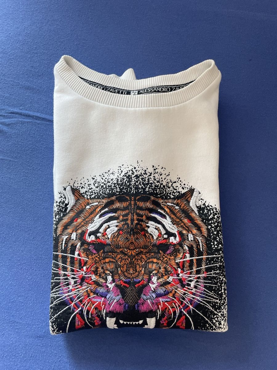 Pulls & Sweat-shirts: Alessandro Zavetti Pullover – D'occasion à Niederdorf par ciritungol 7