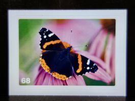 MIGROS MANIA Nature Detectives Nr. 68
