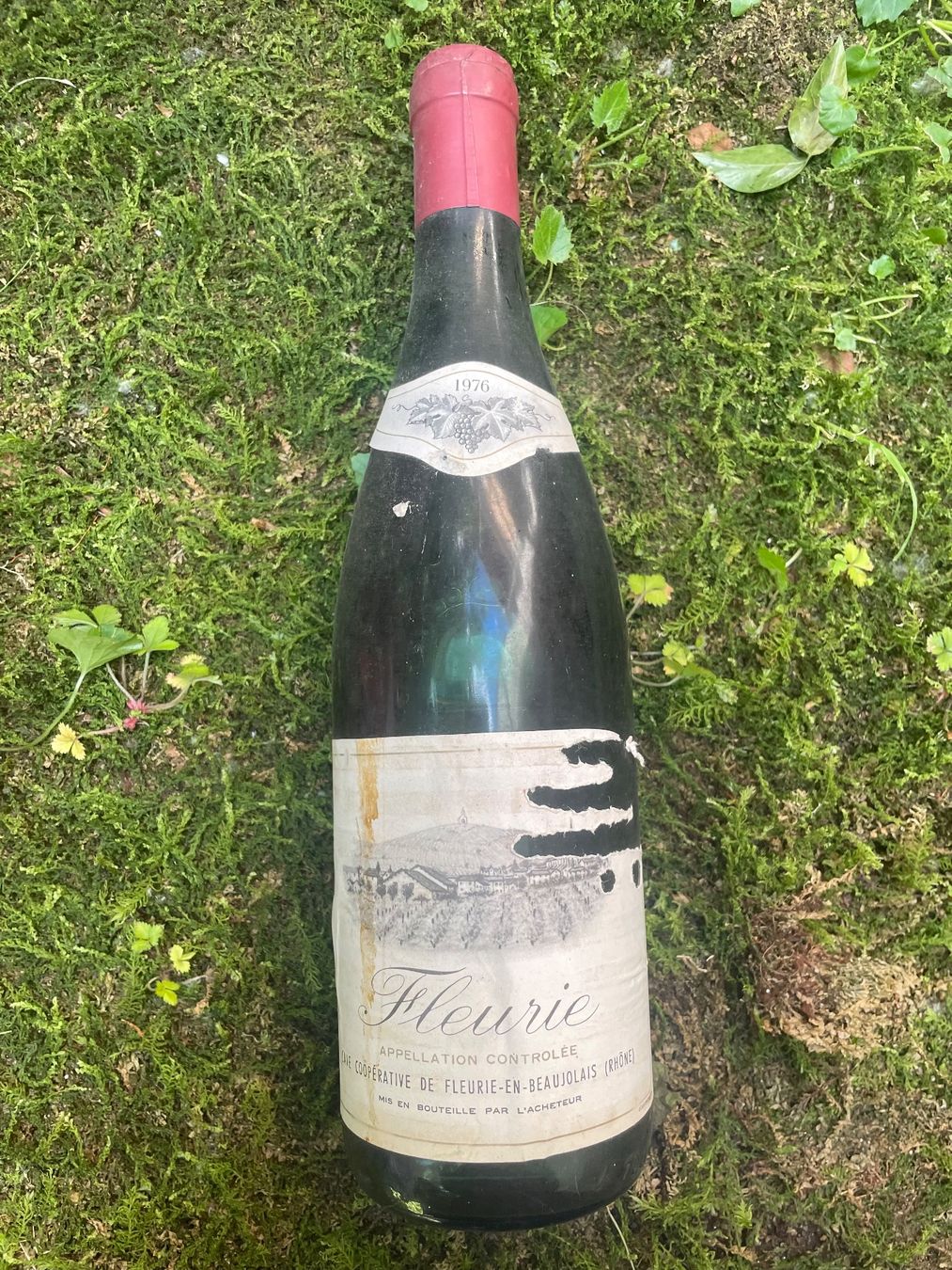 Wein: Fleurie 1976 – Neu (gemäss Beschreibung) aus Minusio von Pink222