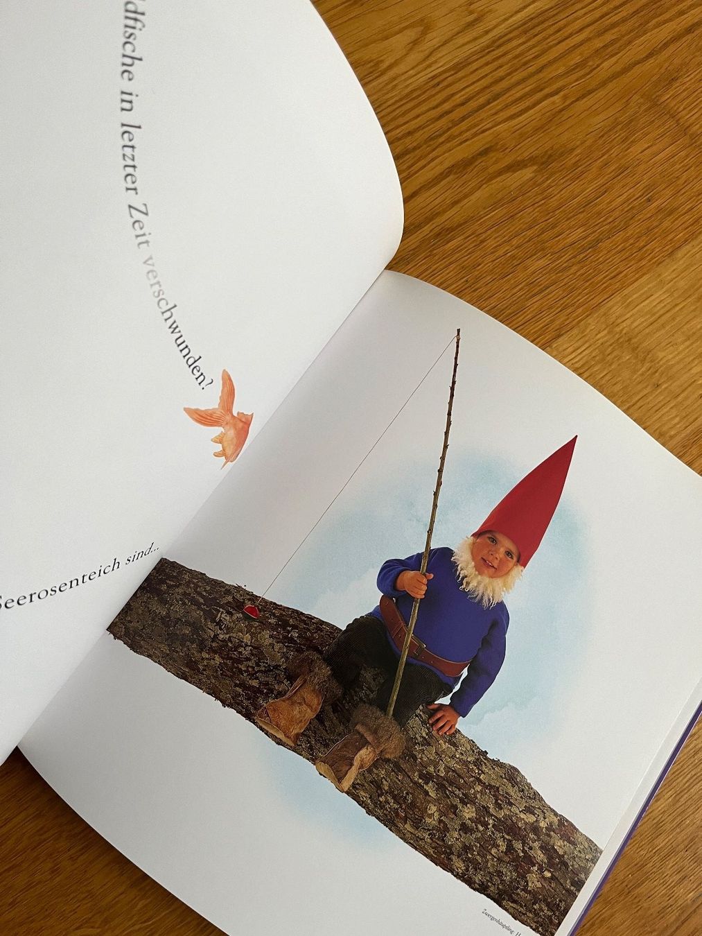 Libri: Bildband "Drunten im Garten", Anne Geddes – Usato da Grosswangen venduto da Vita500 4