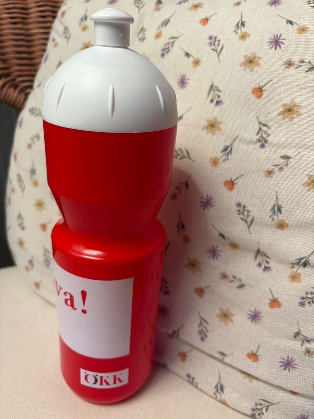 Borracce & Thermos: Trinkflasche – Nuovo (secondo la descrizione) da Chur venduto da smart.shopper 1