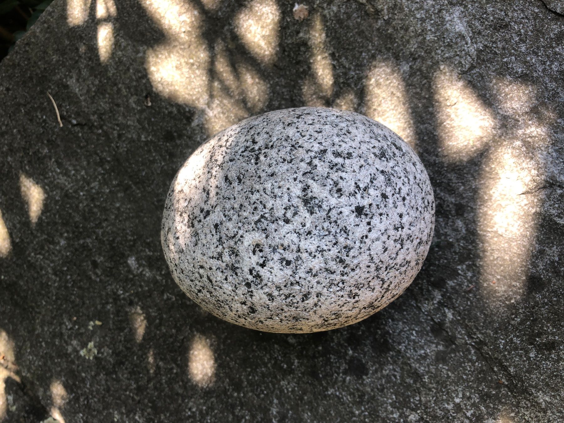 Steine & Dachziegeln: Steingarten Ziersteine Granit – Gebraucht aus Zürich von peterle01