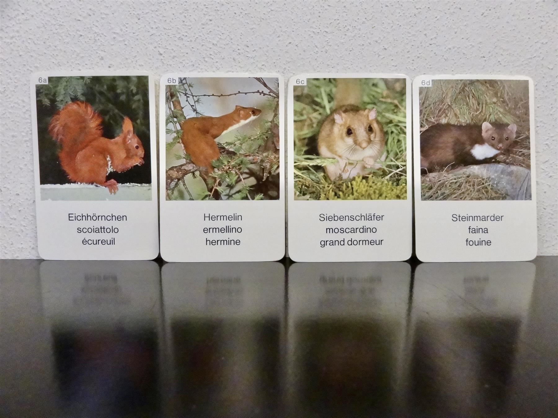 Giochi: schönes altes Quartett TIER-QUARTETT – Usato da Kerzers venduto da wisaundso 7