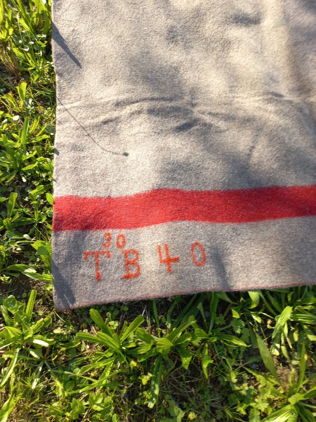Coperte: Militärwolldecke Schweizerarmee – Usato da Ammerswil AG venduto da savinir